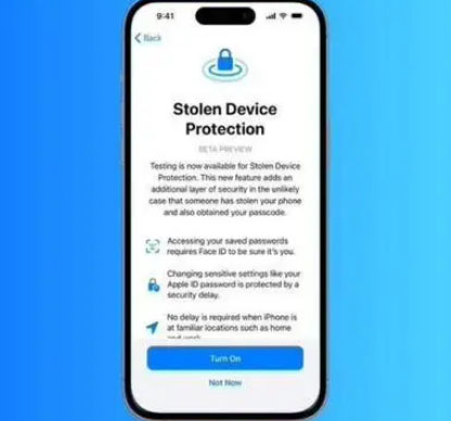 公坡镇苹果授权维修店分享被盗设备保护功能开启方法 