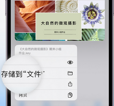 公坡镇apple维修中心分享iPhone文件应用中存储和找到下载文件