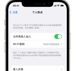 公坡镇apple服务站点分享iPhone上个人热点丢失了怎么办 