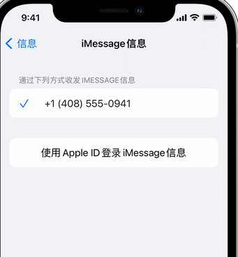 公坡镇apple维修iPhone上无法正常发送iMessage信息 