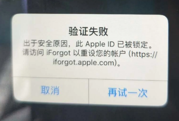 公坡镇iPhone维修分享iPhone上正常登录或使用AppleID怎么办 