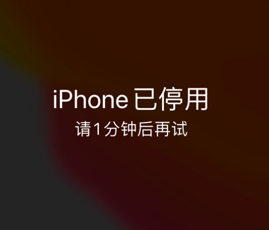 公坡镇苹果手机维修分享:iPhone 显示“不可用”或“已停用”怎么办？还能保留数据吗？ 