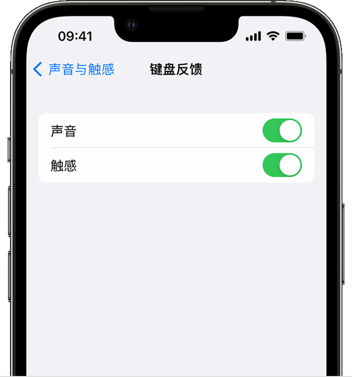 公坡镇苹果14维修店分享如何在 iPhone 14 机型中使用触感键盘 