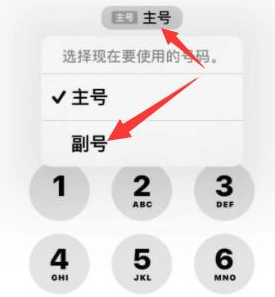 公坡镇苹果14维修店分享iPhone 14 Pro Max使用副卡打电话的方法 