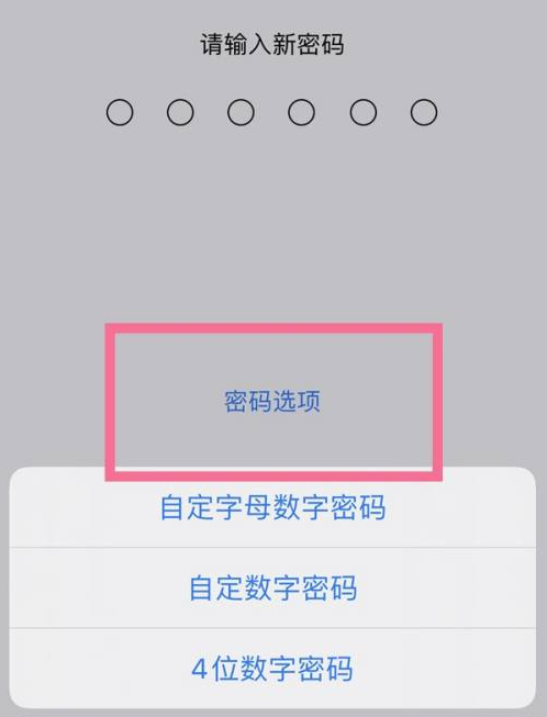 公坡镇苹果14维修分享iPhone 14plus设置密码的方法 