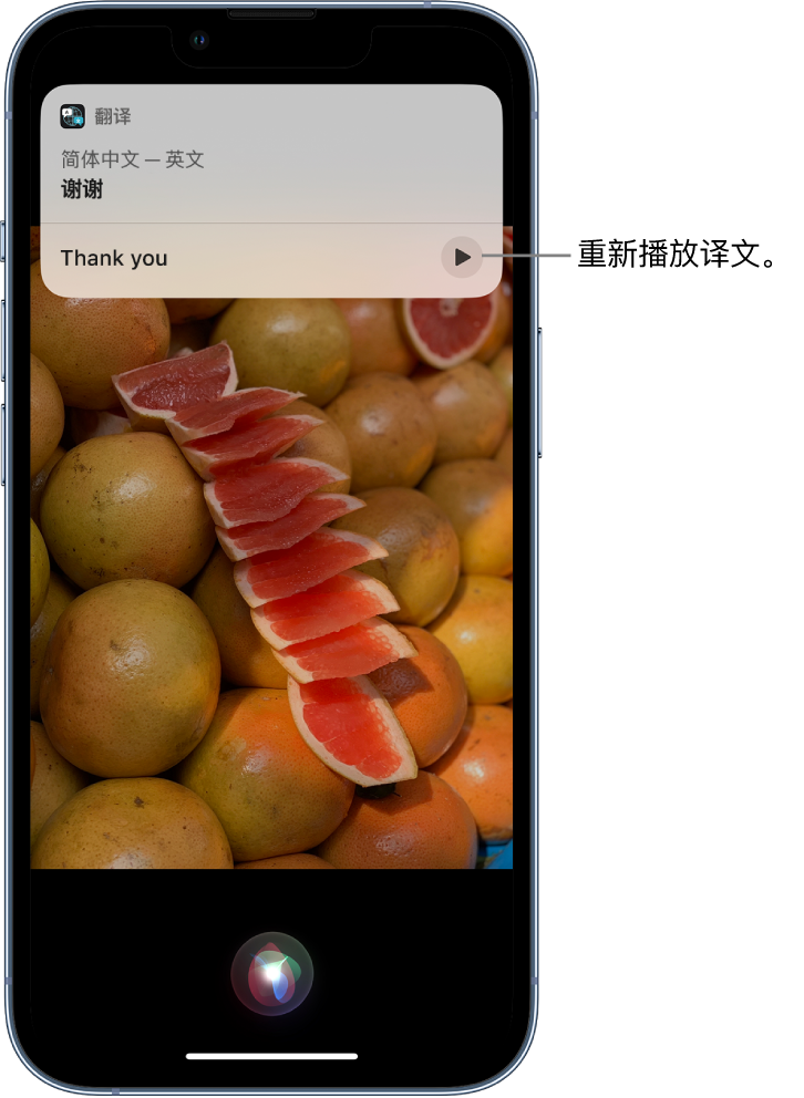 公坡镇苹果14维修分享 iPhone 14 机型中使用 Siri：了解 Siri 能帮你做什么 