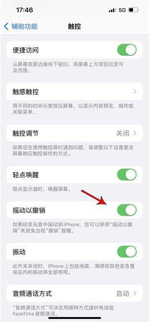 公坡镇苹果手机维修分享iPhone手机如何设置摇一摇删除文字 